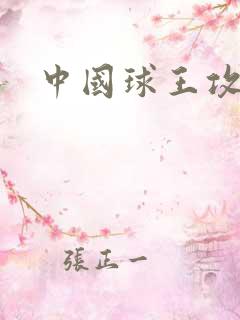 中国球王攻略