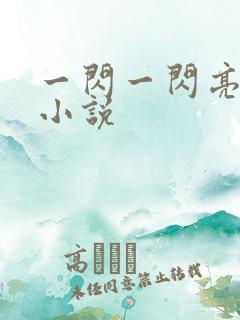 一闪一闪亮晶晶小说