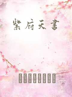 紫府天书