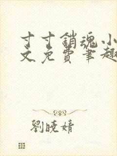 寸寸销魂小说全文免费笔趣阁