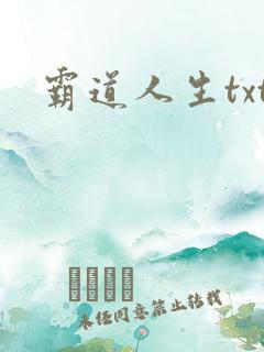 霸道人生txt