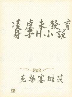凌虐未发育的小身子H小说