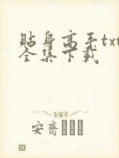 贴身高手txt全集下载