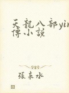 天龙八部yin传小说