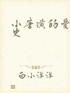 小唐璜的爱情历史