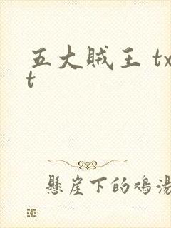 五大贼王 txt