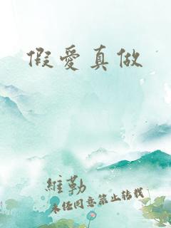 假爱真做