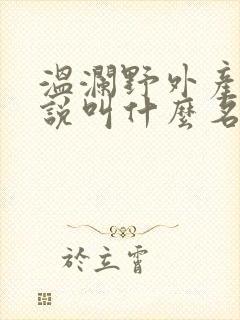 温澜野外产子小说叫什么名字