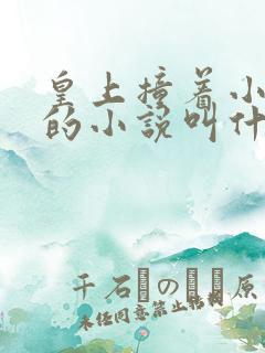 皇上撞着小公主的小说叫什么