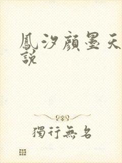 凤汐颜墨天问小说