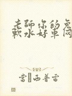 老师你的兔子好软水好车网站