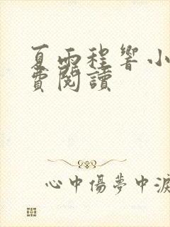 夏雨程响小说免费阅读