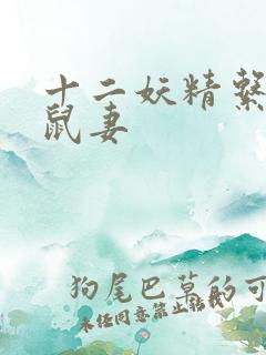 十二妖精系列之鼠妻