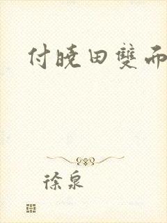 付晓田双面间谍