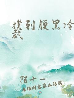 扑到腹黑冷面总裁