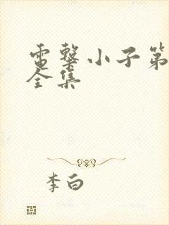 电击小子第二部全集