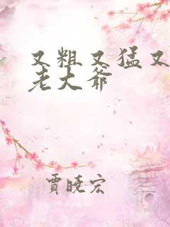 又粗又猛又大爽老大爷