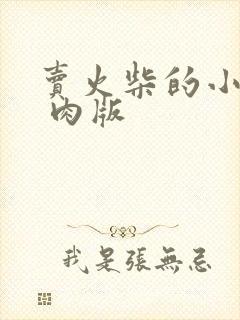 卖火柴的小男孩 肉版