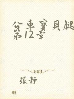 公车宝贝腿开点第12章