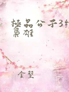 极品公子3续世枭雄