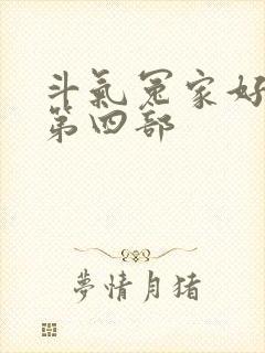 斗气冤家好兄弟第四部