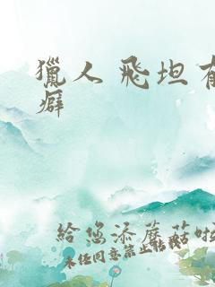 猎人 飞坦有洁癖