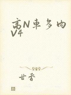 高N车多肉多1V4