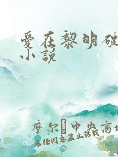 爱在黎明破晓前小说