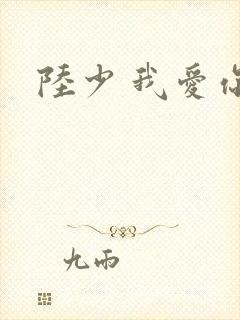 陆少 我爱你