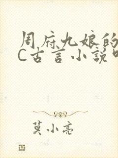 周府九娘的NPC古言小说叫什么