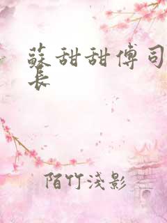 苏甜甜傅司衍机长