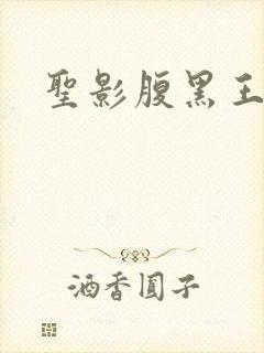 圣影腹黑王子帮