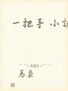 一把手 小说