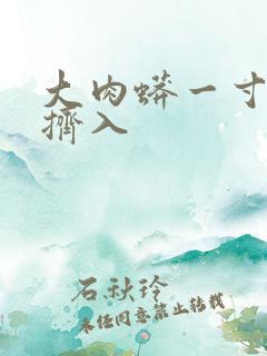 大肉蟒一寸一寸挤入