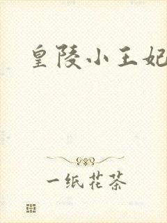 皇陵小王妃