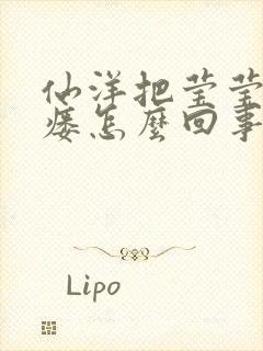 仙洋把莹莹干肛瘘怎么回事