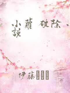 小萝 破除 小说