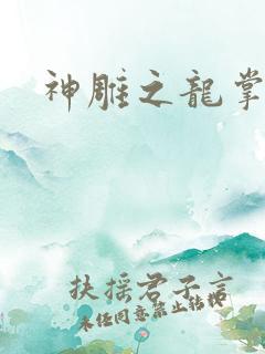 神雕之龙掌门