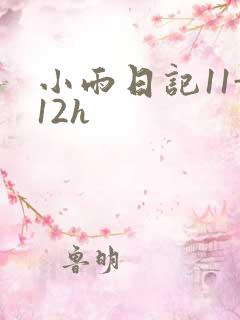小雨日记11-12h