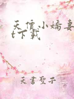 天价小娇妻txt下载