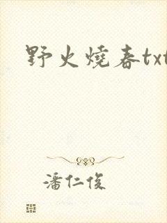 野火烧春txt