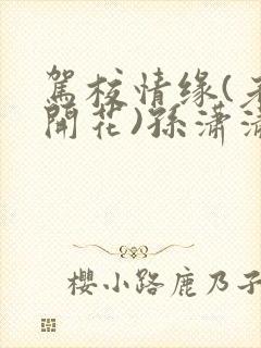 驾校情缘(老树开花)孙潇潇笔趣阁