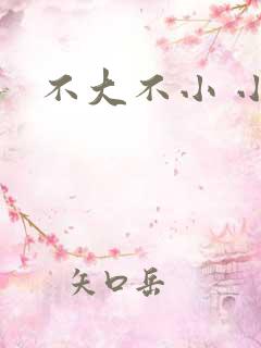 不大不小 小说