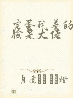 完蛋我养的小白脸是大佬