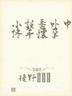 小说番外中结局佟年怀孕