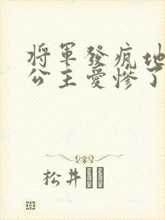 将军发疯地撞着公主爱惨了公主