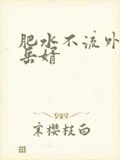 肥水不流外人田岳婿