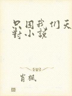 只因我们天生一对小说