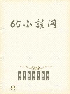 65小说网