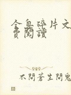 全息碎片文轩免费阅读